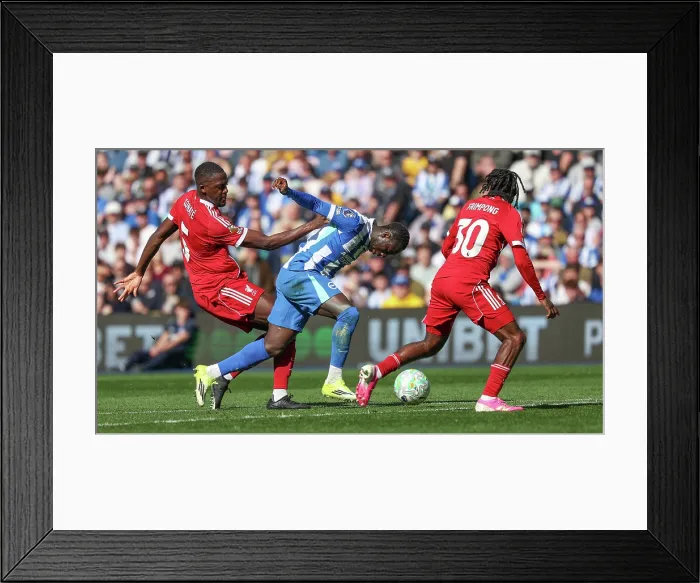 Framed Print : Brighton and Hove Albion v Liverpool Premier League 16MAR26