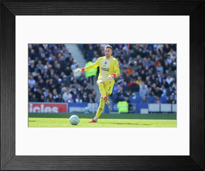 Framed Print : Brighton and Hove Albion v Liverpool Premier League 16MAR26