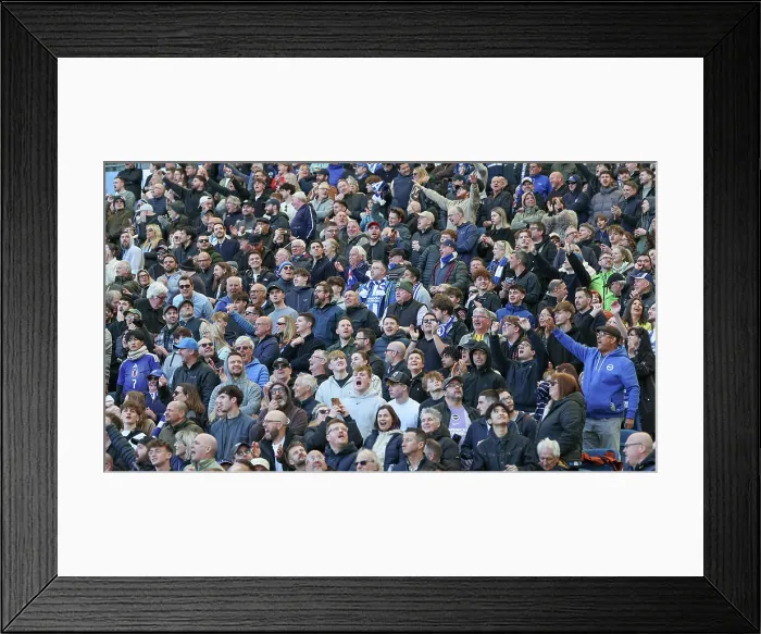 Framed Print : Brighton and Hove Albion v Liverpool Premier League 16MAR26
