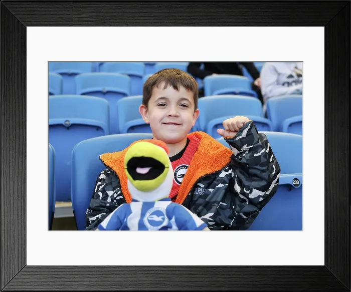 Framed Print : Brighton and Hove Albion v Liverpool Premier League 16MAR26