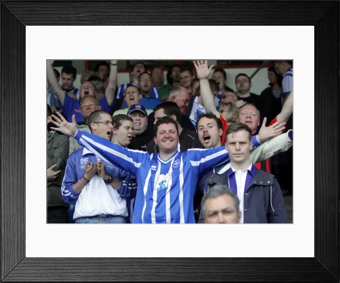 Framed Print : Brighton & Hove Albion: League 1 Title Win - Euphoric Fans Celebrate at Walsall, April 2011 Framed Print : Brighton & Hove Albion: League 1 Title Win - Euphoric Fans Celebrate at Walsall, April 2011