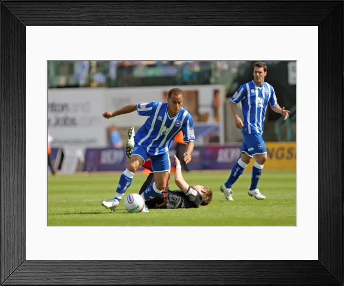 Framed Print : Brighton & Hove Albion vs Southampton: 2010-11 Home Season Framed Print : Brighton & Hove Albion vs Southampton: 2010-11 Home Season