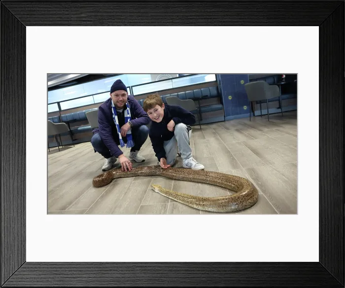 Framed Print : BHAFC OpenTraining Session at the Amex 04APR26 Framed Print : BHAFC OpenTraining Session at the Amex 04APR26