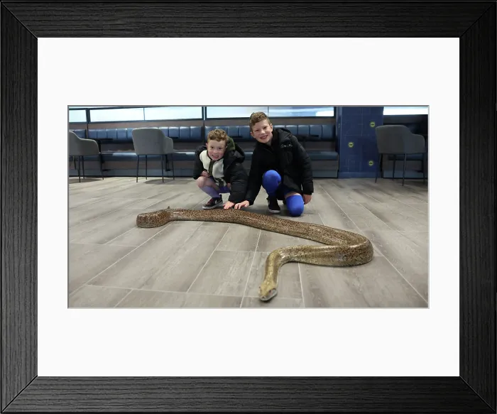 Framed Print : BHAFC OpenTraining Session at the Amex 04APR26 Framed Print : BHAFC OpenTraining Session at the Amex 04APR26