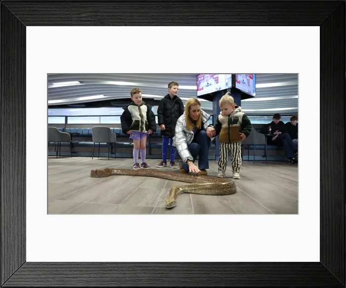 Framed Print : BHAFC OpenTraining Session at the Amex 04APR26 Framed Print : BHAFC OpenTraining Session at the Amex 04APR26