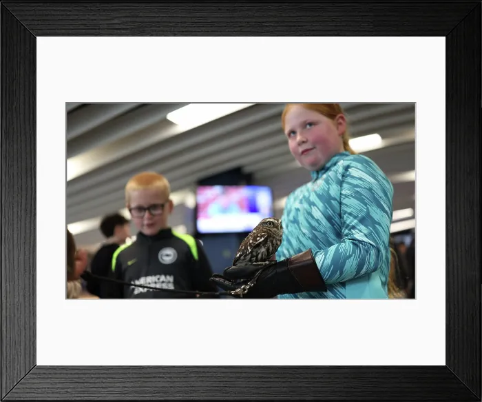 Framed Print : BHAFC OpenTraining Session at the Amex 04APR26 Framed Print : BHAFC OpenTraining Session at the Amex 04APR26