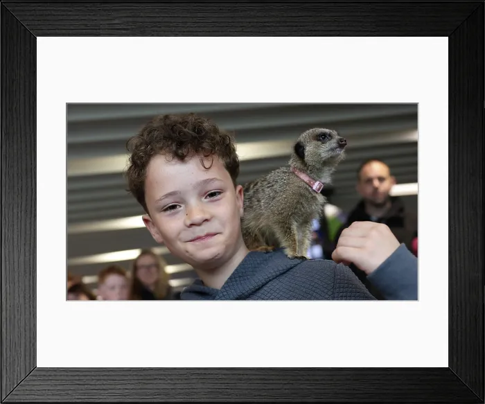 Framed Print : BHAFC OpenTraining Session at the Amex 04APR26 Framed Print : BHAFC OpenTraining Session at the Amex 04APR26