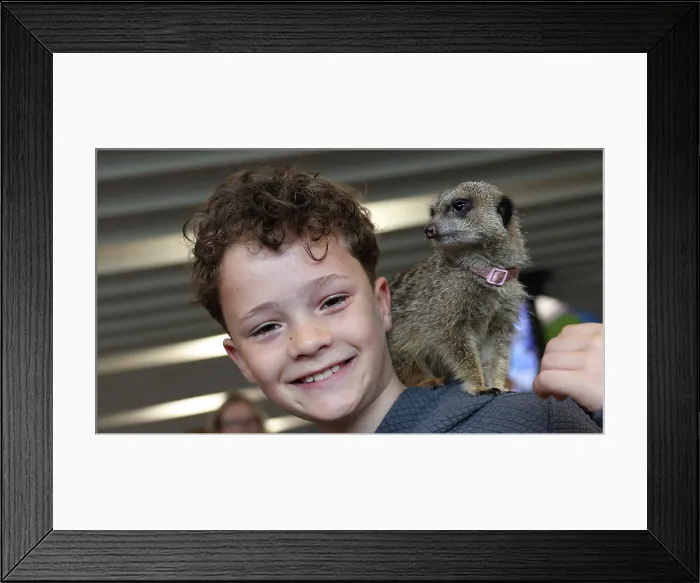 Framed Print : BHAFC OpenTraining Session at the Amex 04APR26 Framed Print : BHAFC OpenTraining Session at the Amex 04APR26