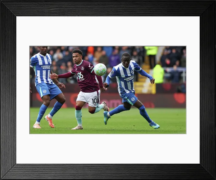 Framed Print : Burnley v Brighton and Hove Albion Premier League 11APR26
