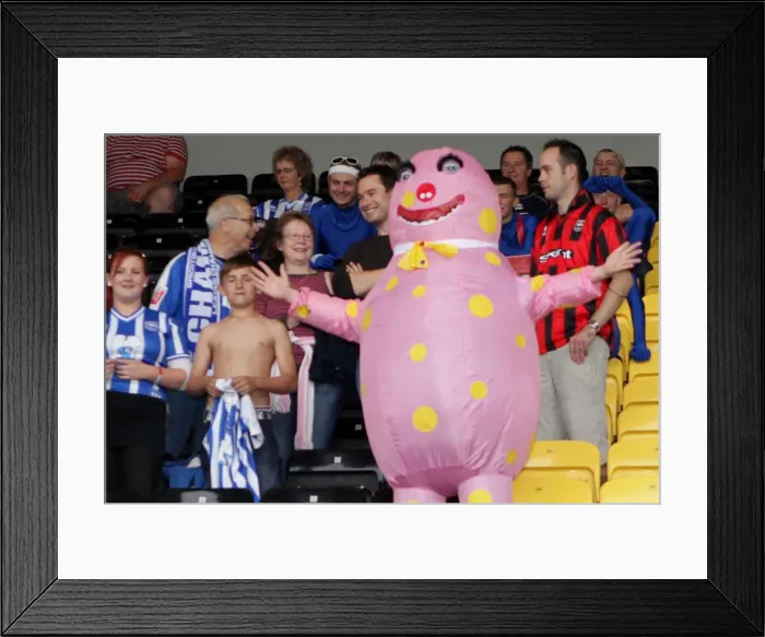 Framed Print : Brighton & Hove Albion Away at Notts County: 2010-11 Season Framed Print : Brighton & Hove Albion Away at Notts County: 2010-11 Season