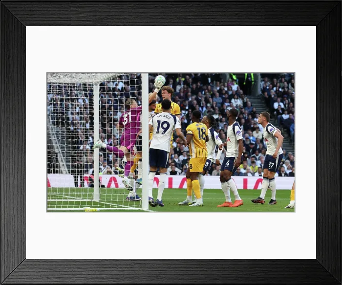 Framed Print : Tottenham Hotspur v Brighton and Hove Albion Premier League 18APR26