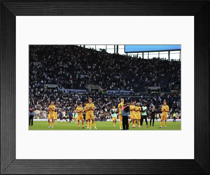 Framed Print : Tottenham Hotspur v Brighton and Hove Albion Premier League 18APR26