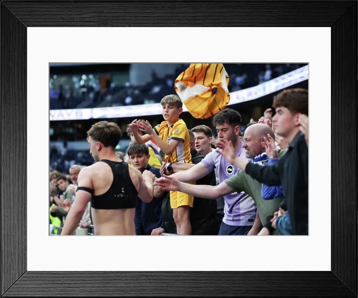 Framed Print : Tottenham Hotspur v Brighton and Hove Albion Premier League 18APR26