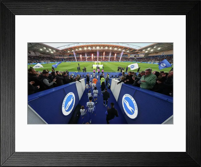 Framed Print : Brighton and Hove Albion v Chelsea Premier League 21APR26