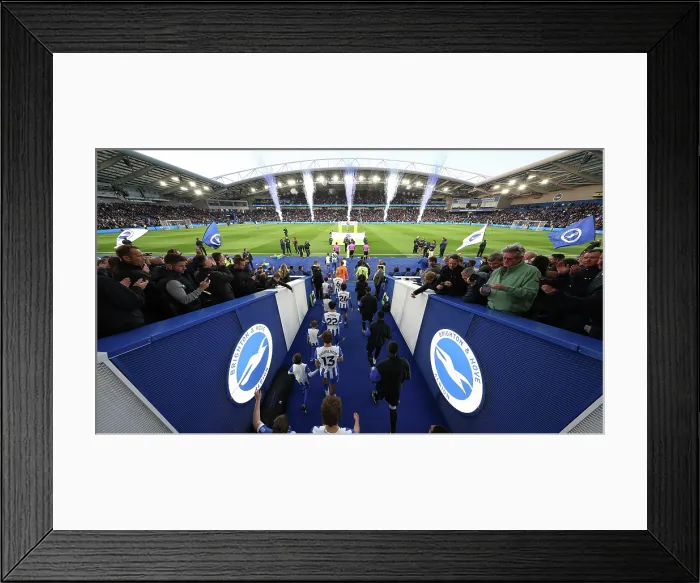 Framed Print : Brighton and Hove Albion v Chelsea Premier League 21APR26