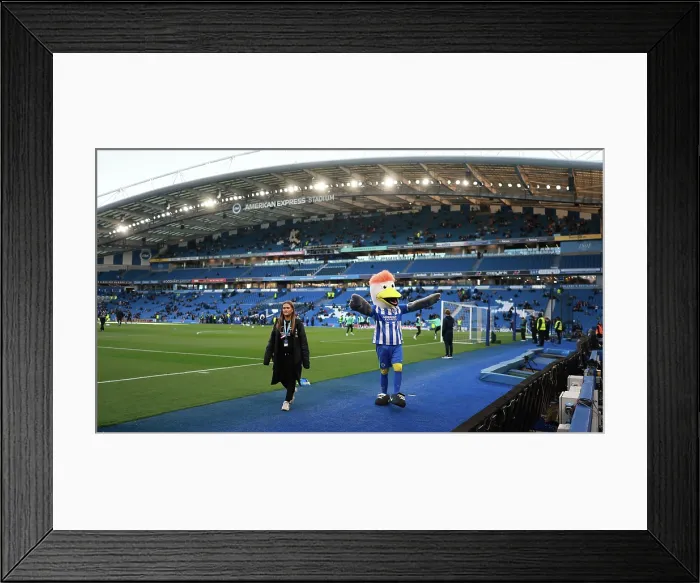 Framed Print : Brighton and Hove Albion v Chelsea Premier League 21APR26 Framed Print : Brighton and Hove Albion v Chelsea Premier League 21APR26