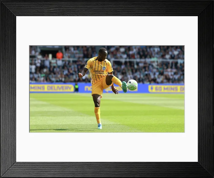 Framed Print : Newcastle United v Brighton and Hove Albion Premier League 02MAY26