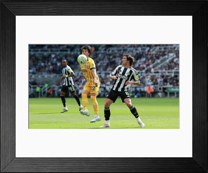 Framed Print : Newcastle United v Brighton and Hove Albion Premier League 02MAY26 Framed Print : Newcastle United v Brighton and Hove Albion Premier League 02MAY26