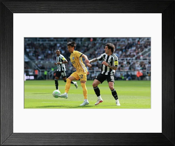 Framed Print : Newcastle United v Brighton and Hove Albion Premier League 02MAY26 Framed Print : Newcastle United v Brighton and Hove Albion Premier League 02MAY26