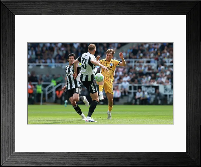 Framed Print : Newcastle United v Brighton and Hove Albion Premier League 02MAY26 Framed Print : Newcastle United v Brighton and Hove Albion Premier League 02MAY26