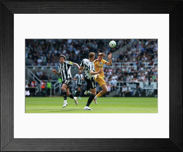 Framed Print : Newcastle United v Brighton and Hove Albion Premier League 02MAY26 Framed Print : Newcastle United v Brighton and Hove Albion Premier League 02MAY26