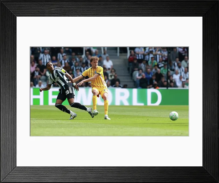 Framed Print : Newcastle United v Brighton and Hove Albion Premier League 02MAY26 Framed Print : Newcastle United v Brighton and Hove Albion Premier League 02MAY26