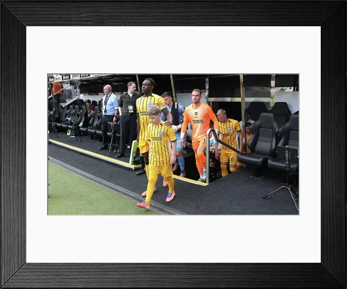 Framed Print : Newcastle United v Brighton and Hove Albion Premier League 02MAY26 Framed Print : Newcastle United v Brighton and Hove Albion Premier League 02MAY26
