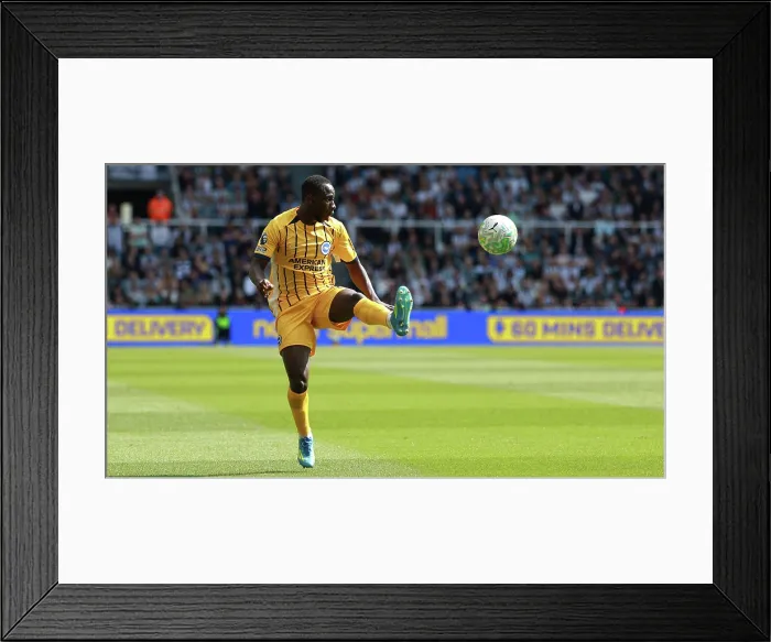 Framed Print : Newcastle United v Brighton and Hove Albion Premier League 02MAY26 Framed Print : Newcastle United v Brighton and Hove Albion Premier League 02MAY26