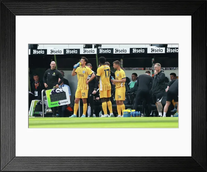 Framed Print : Newcastle United v Brighton and Hove Albion Premier League 02MAY26