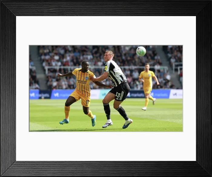 Framed Print : Newcastle United v Brighton and Hove Albion Premier League 02MAY26