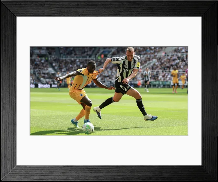 Framed Print : Newcastle United v Brighton and Hove Albion Premier League 02MAY26 Framed Print : Newcastle United v Brighton and Hove Albion Premier League 02MAY26