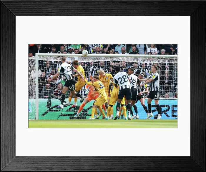 Framed Print : Newcastle United v Brighton and Hove Albion Premier League 02MAY26 Framed Print : Newcastle United v Brighton and Hove Albion Premier League 02MAY26