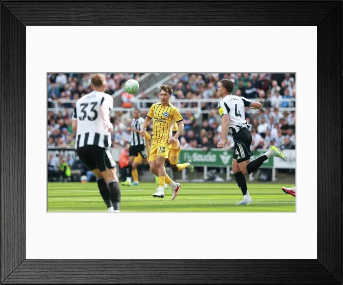 Framed Print : Newcastle United v Brighton and Hove Albion Premier League 02MAY26 Framed Print : Newcastle United v Brighton and Hove Albion Premier League 02MAY26