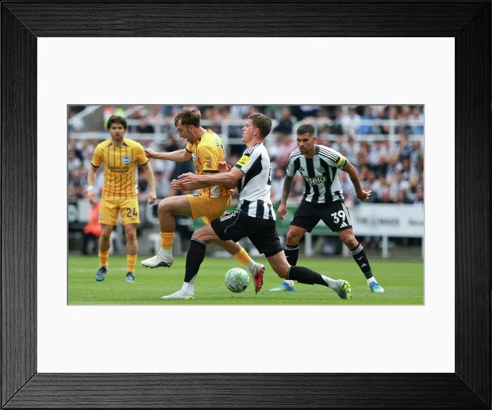 Framed Print : Newcastle United v Brighton and Hove Albion Premier League 02MAY26 Framed Print : Newcastle United v Brighton and Hove Albion Premier League 02MAY26