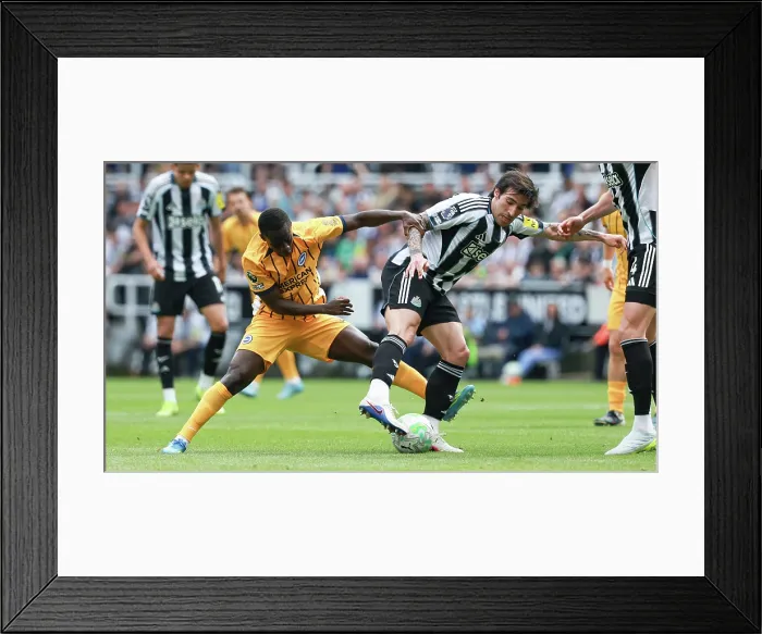 Framed Print : Newcastle United v Brighton and Hove Albion Premier League 02MAY26