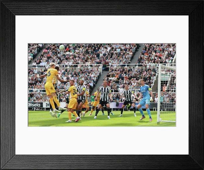 Framed Print : Newcastle United v Brighton and Hove Albion Premier League 02MAY26 Framed Print : Newcastle United v Brighton and Hove Albion Premier League 02MAY26