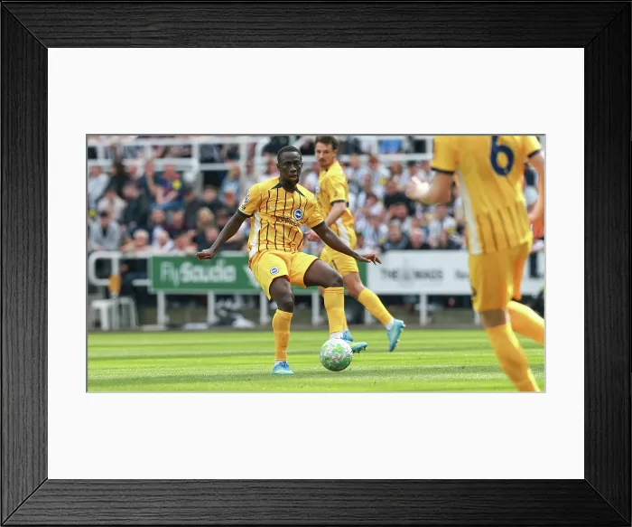 Framed Print : Newcastle United v Brighton and Hove Albion Premier League 02MAY26 Framed Print : Newcastle United v Brighton and Hove Albion Premier League 02MAY26