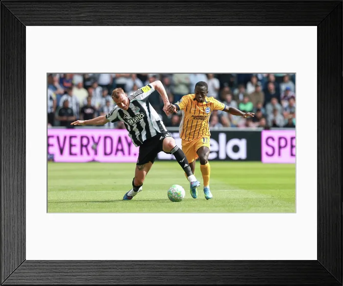 Framed Print : Newcastle United v Brighton and Hove Albion Premier League 02MAY26 Framed Print : Newcastle United v Brighton and Hove Albion Premier League 02MAY26