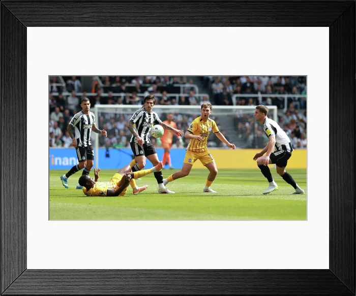 Framed Print : Newcastle United v Brighton and Hove Albion Premier League 02MAY26 Framed Print : Newcastle United v Brighton and Hove Albion Premier League 02MAY26
