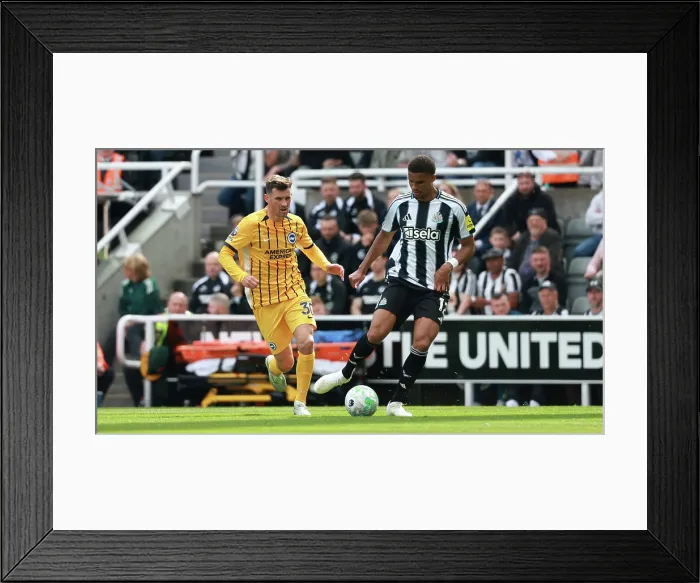 Framed Print : Newcastle United v Brighton and Hove Albion Premier League 02MAY26
