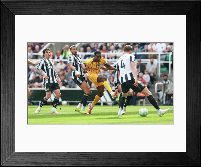 Framed Print : Newcastle United v Brighton and Hove Albion Premier League 02MAY26 Framed Print : Newcastle United v Brighton and Hove Albion Premier League 02MAY26