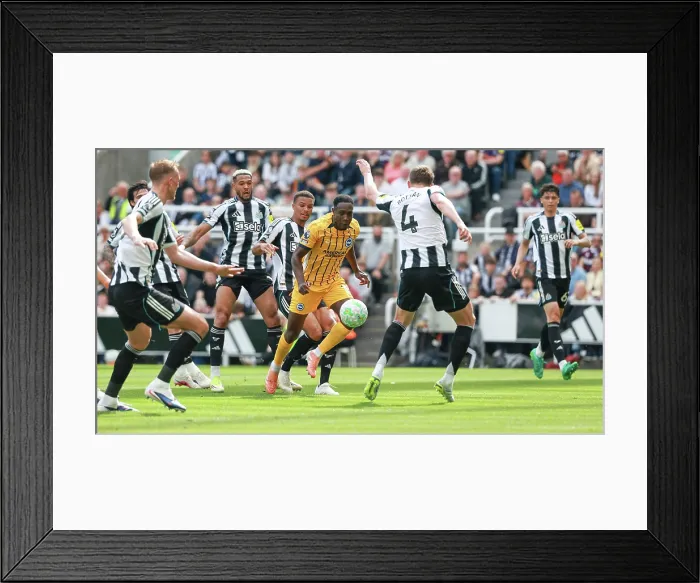 Framed Print : Newcastle United v Brighton and Hove Albion Premier League 02MAY26 Framed Print : Newcastle United v Brighton and Hove Albion Premier League 02MAY26