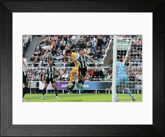 Framed Print : Newcastle United v Brighton and Hove Albion Premier League 02MAY26 Framed Print : Newcastle United v Brighton and Hove Albion Premier League 02MAY26