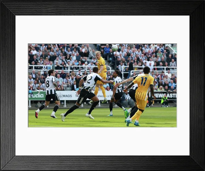 Framed Print : Newcastle United v Brighton and Hove Albion Premier League 02MAY26 Framed Print : Newcastle United v Brighton and Hove Albion Premier League 02MAY26