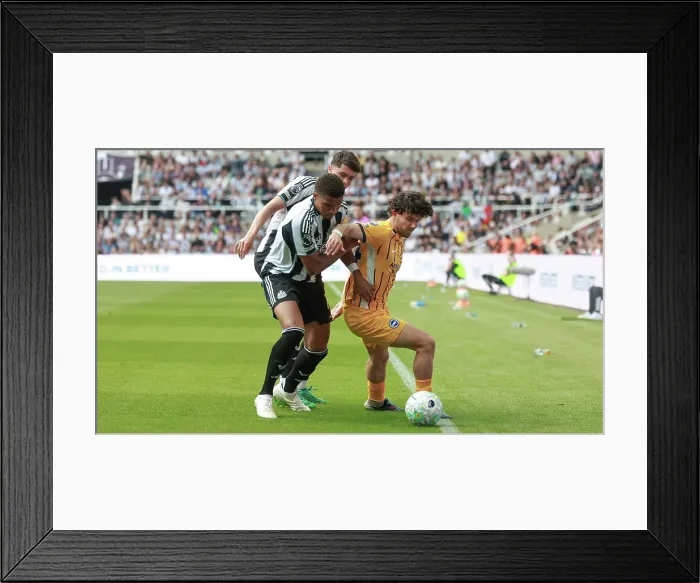 Framed Print : Newcastle United v Brighton and Hove Albion Premier League 02MAY26 Framed Print : Newcastle United v Brighton and Hove Albion Premier League 02MAY26