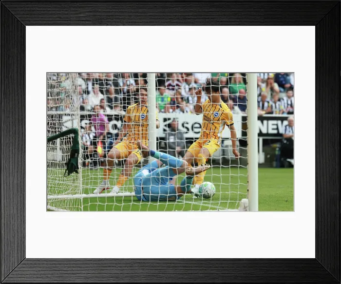 Framed Print : Newcastle United v Brighton and Hove Albion Premier League 02MAY26 Framed Print : Newcastle United v Brighton and Hove Albion Premier League 02MAY26