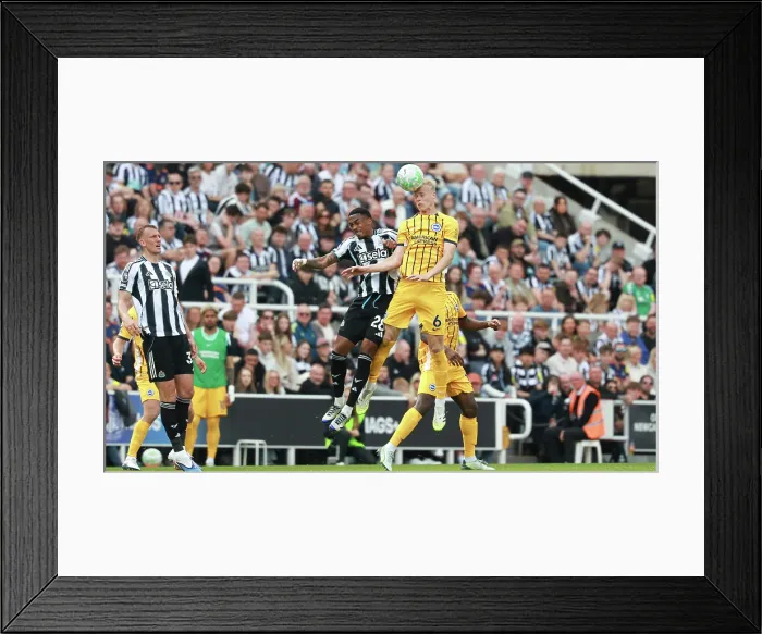 Framed Print : Newcastle United v Brighton and Hove Albion Premier League 02MAY26 Framed Print : Newcastle United v Brighton and Hove Albion Premier League 02MAY26