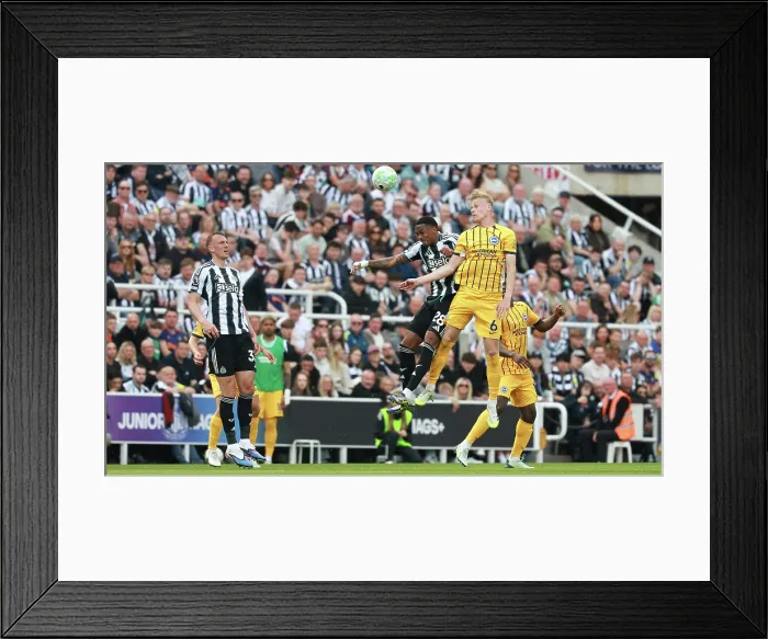 Framed Print : Newcastle United v Brighton and Hove Albion Premier League 02MAY26 Framed Print : Newcastle United v Brighton and Hove Albion Premier League 02MAY26