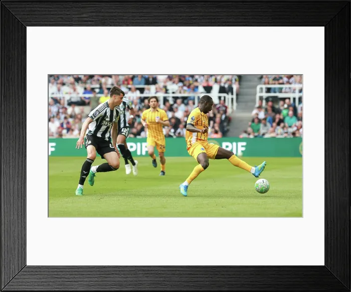 Framed Print : Newcastle United v Brighton and Hove Albion Premier League 02MAY26 Framed Print : Newcastle United v Brighton and Hove Albion Premier League 02MAY26
