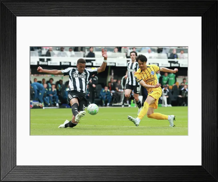 Framed Print : Newcastle United v Brighton and Hove Albion Premier League 02MAY26 Framed Print : Newcastle United v Brighton and Hove Albion Premier League 02MAY26